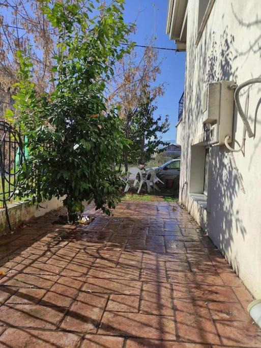 Trikala Home Kültér fotó