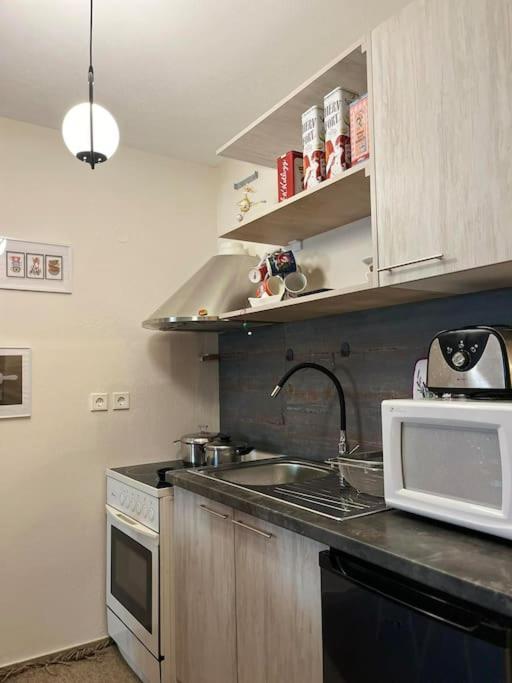 Trikala Home Kültér fotó
